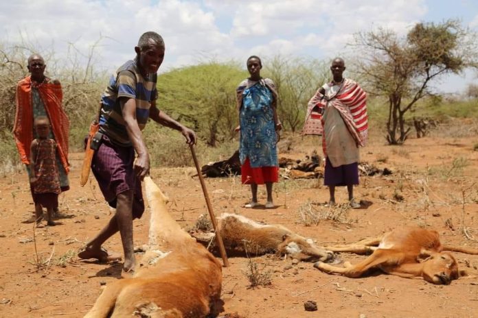 CLIIMATE CHANGE IN KAJIADO