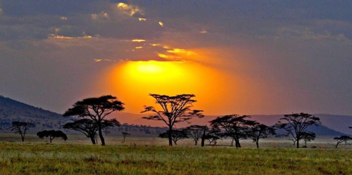 kajiado