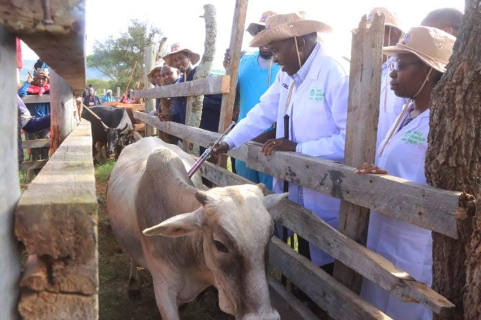 ANIMAL VACCINATION